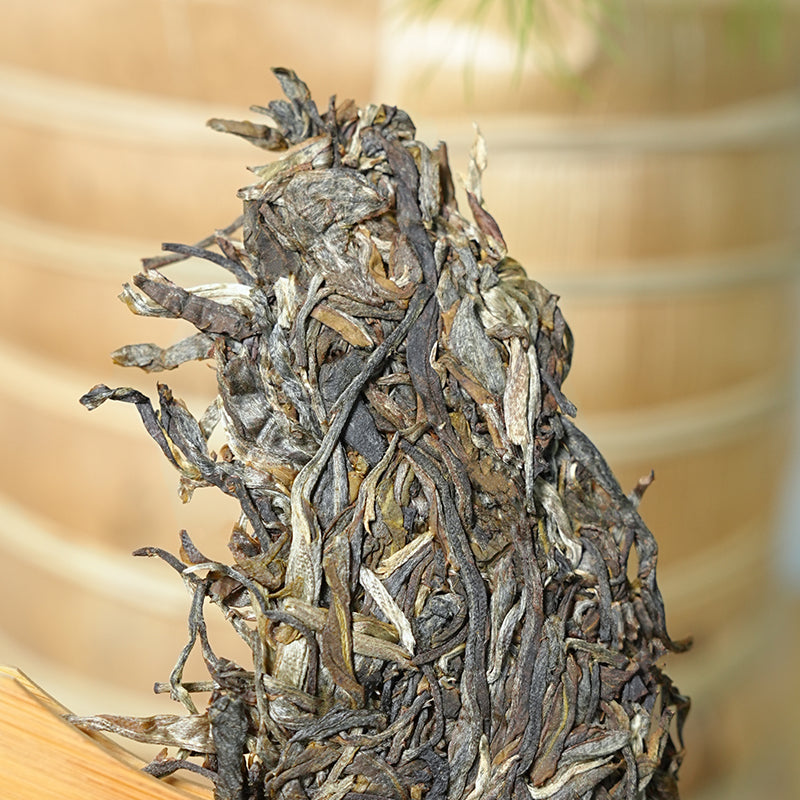Xiao Hu Sai · Teh Puer Mentah (Pokok Tua Asli