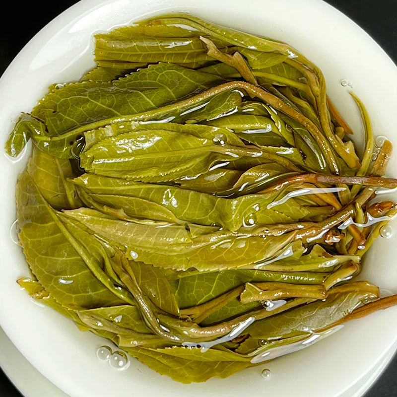 Xiao Hu Sai · Teh Puer Mentah (Pokok Tua Asli