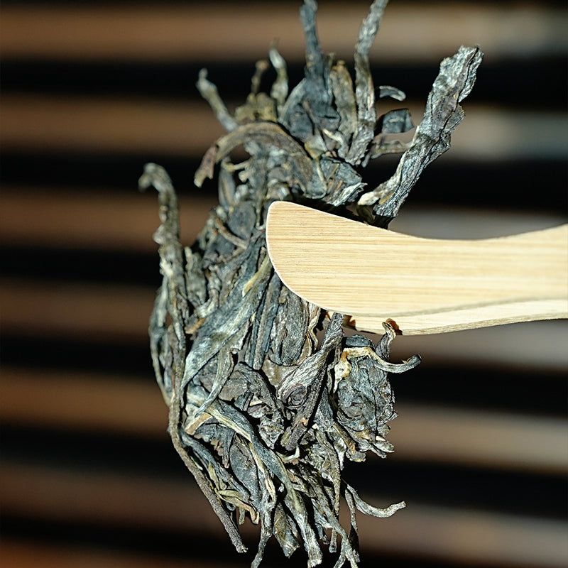 [Kualiti Pingat Emas] Tian Chu Hao - Teh Puer Mentah Pokok Tua Bingdao (200g/keping)